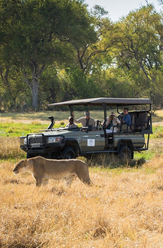 A game drive at Machaba Camp, Botswana