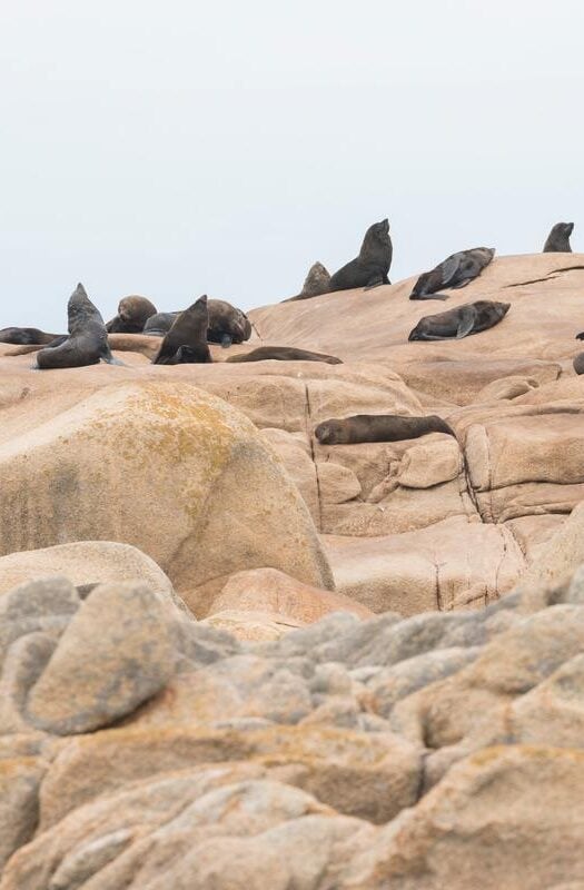 Cabo Polonio National Park