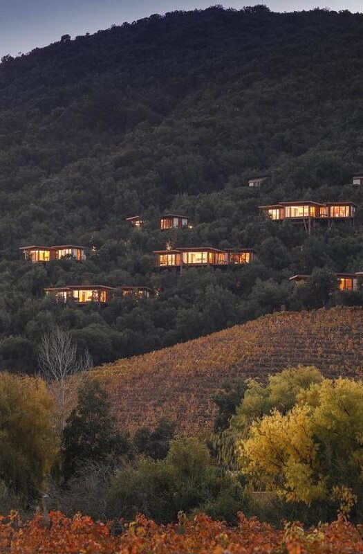 Lodges on a hillside at Clos Apalta Residence in Chile