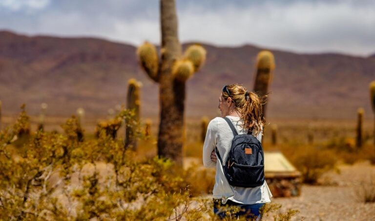 Hiking among cacti in Los Cardones National Park in Salta, Argentina