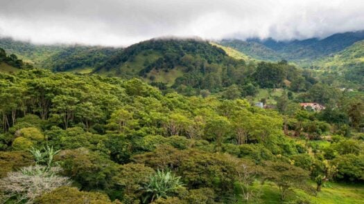 Boquete in the Chiriqui province of western Panama.