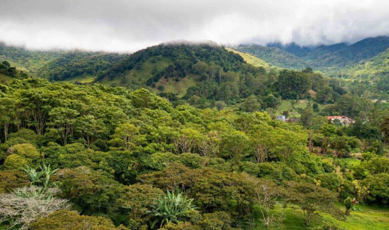 Boquete in the Chiriqui province of western Panama.