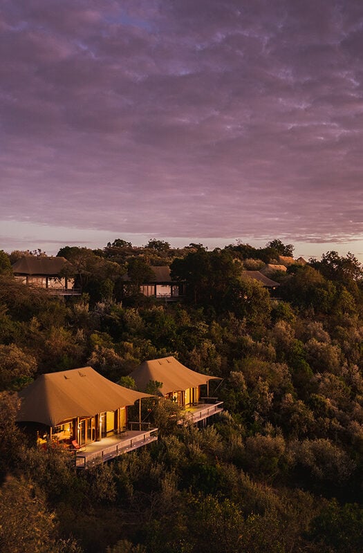 Tented suites surrounded by forest at Angama Mara, Kenya