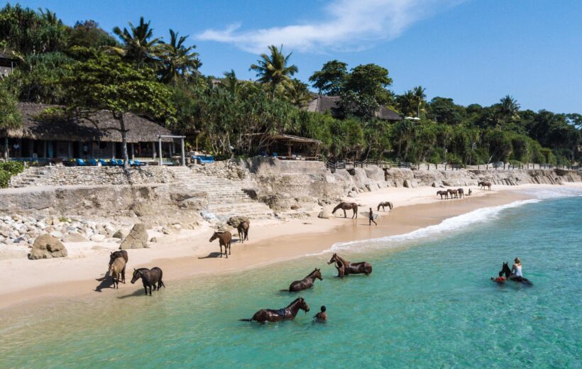 Horses in the water at Nihi Sumba in Indonesia