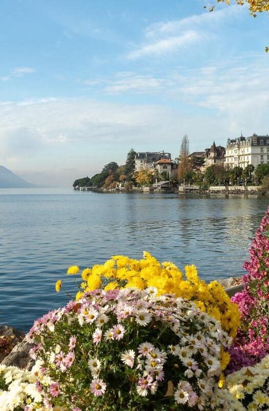 Flowers by the edge of Lake Geneva, Switzerland