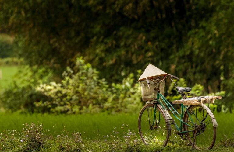 A bicycle in the rice fields of Mai Chau, Vietnam.