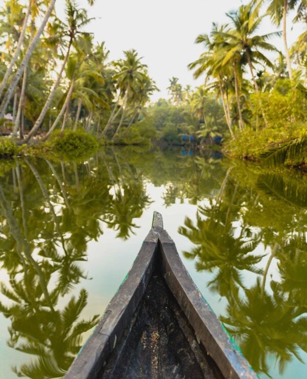 View from the front of a canoe on a river in India Canoeing on backwaters of Munroe islands, Kerala, India. Serenel