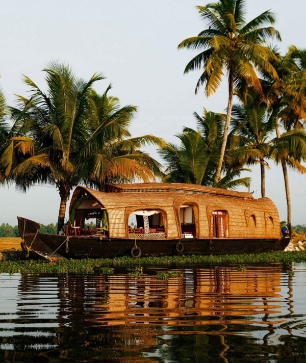 Houseboat on Kerala Backwaters India Concept image, with palm trees behind