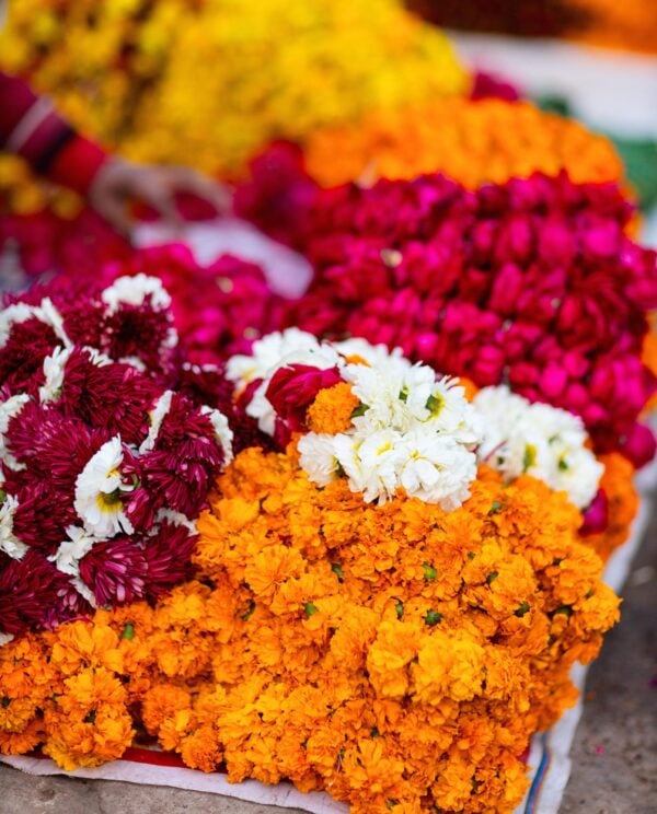 Many marigold flower buds at outdoor market in Jaipur India