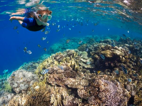 A man snorkelling above a colourful reef with small striped fish