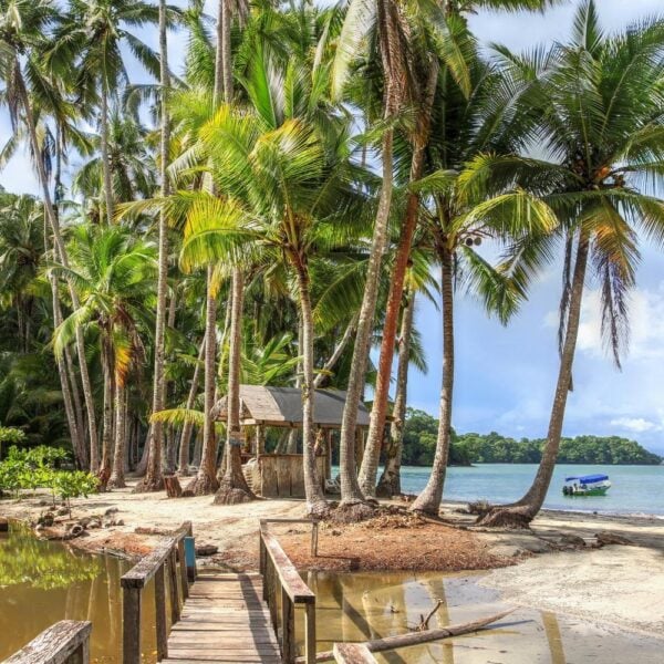 A tropical beach in Panama's Gulf of Chiriquí