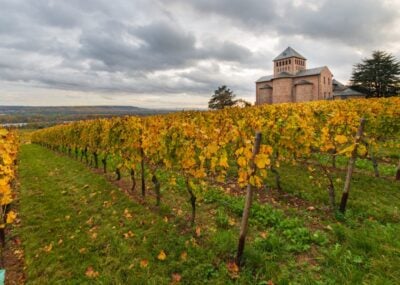 Catholic parish church Johannisberg with autumnal coloured vinyards in the Rheingau region near Geisenheim, Germany