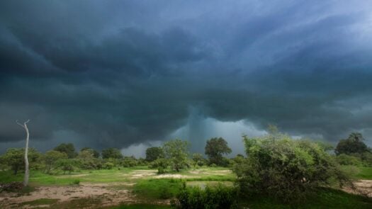 zambia during rainy season