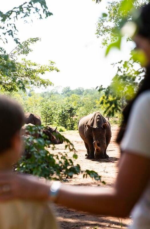 Wilderness Toka Leya, Zambia. Walking safari with rhino