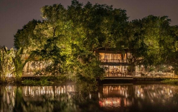 Exterior night shot of hotel by a river with large trees