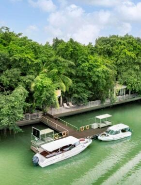 Aerial view of two small boats moored by a wooden jetty next to green trees