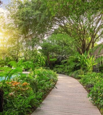 A wooden boardwalk pathway through tropical bushes and trees