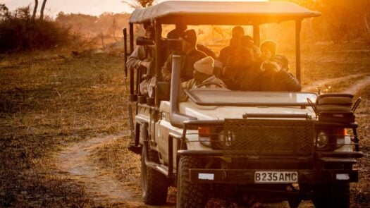 Game drive in a safari jeep at sunrise