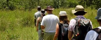 A line of people walking through tall green grass