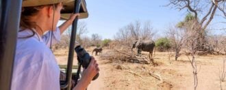 Watching an elephant really close out of a jeep at a safari in Africa