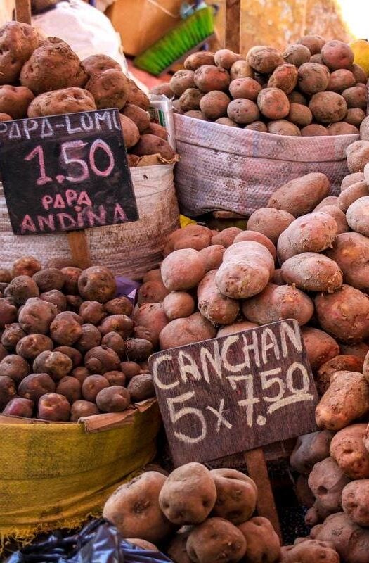 Potatoes of Peru, tubs of different size and coloured potatoes with price signs in a market