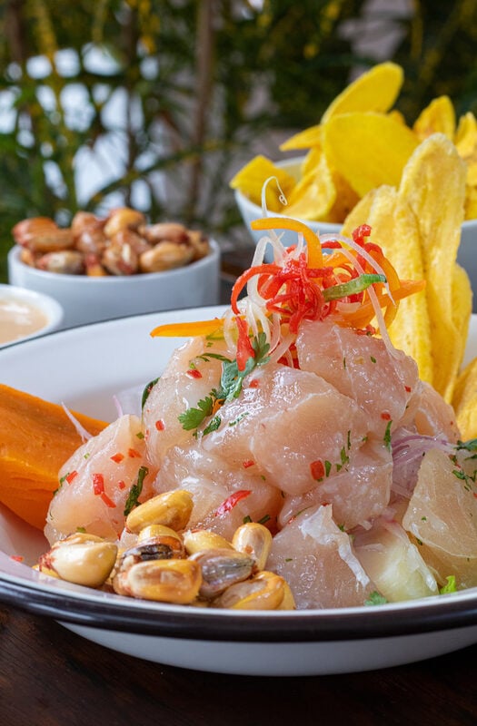 Close up of a bowl of ceviche, a Peruvian raw fish dish garnished with strips of carrot and radish