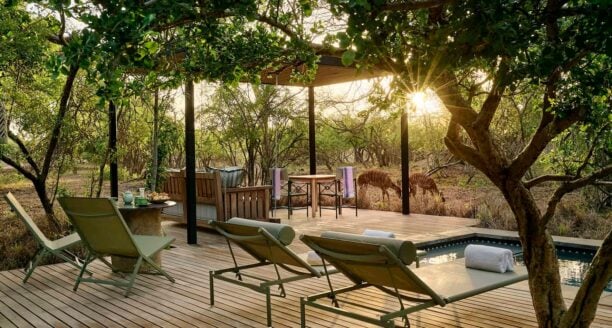 An outdoor seating area with wooden decking and sun loungers looking at a view of African wilderness, with two impalas grazing on long grass