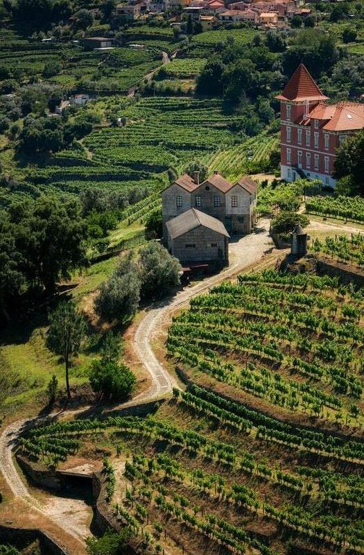 Aerial view of the Douro Valley of Portugal, with vineyards and stone buildings visible