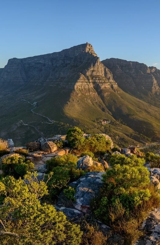 View of Table Mountain and 12 Apostles from Lion's Head. Cape Town.