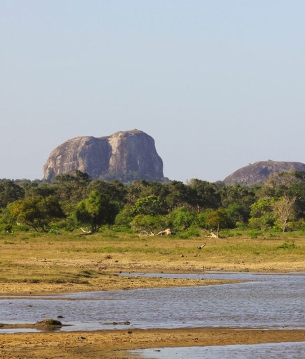 view across lagoon with a lone elephant and elephant rock under a blue sky