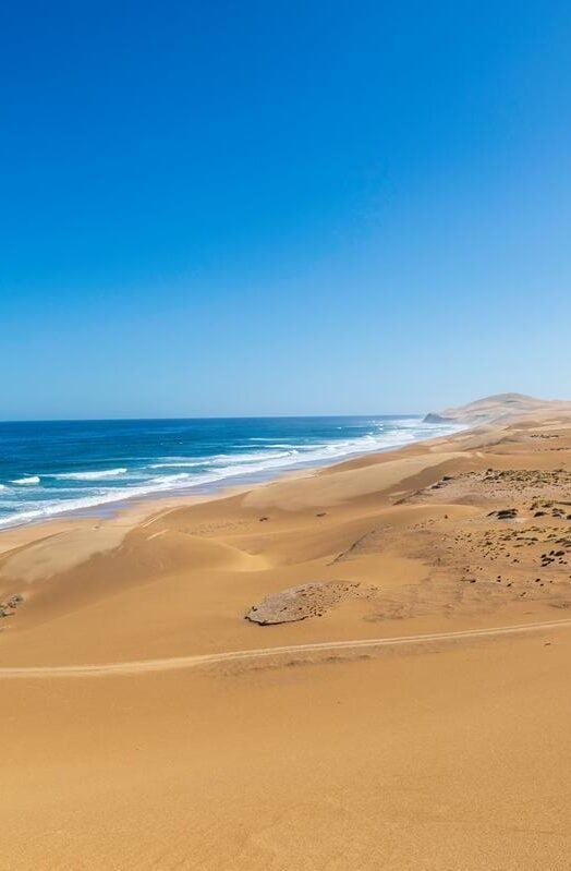 Alexandria Dunes, Addo Elephant National Park, South Africa