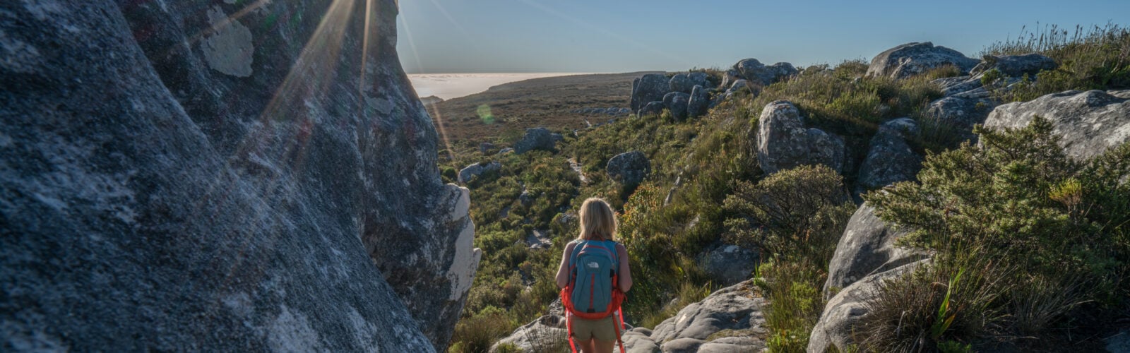 Young woman in Cape Town on top of mountain looking at view