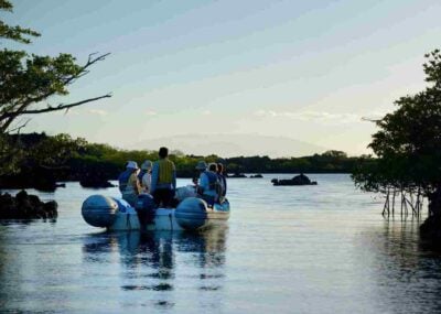 Elizabeth Bay, Isabela Island, Galapagos Islands, Ecuador