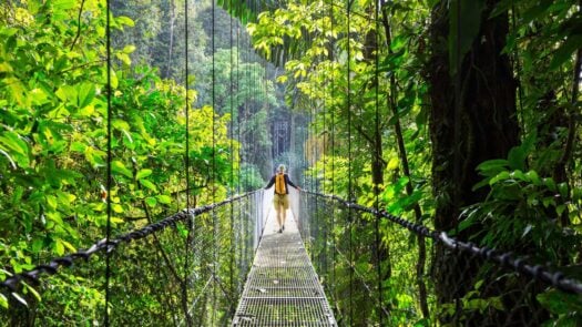 A hanging bridge between the trees in Costa Rica