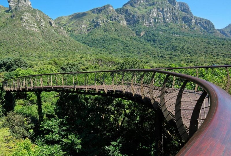 A footbridge through Kirstenbosch botanical gardens in Cape Town, South Africa