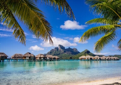 Bora Bora framed by palm trees