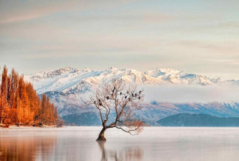 An autumnal view of Lake Wanaka and snow–capped peaks, New Zealand