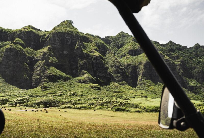 A view of green, rocky landscapes from inside an ATV