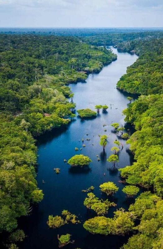 Aerial view of the Amazon river and rainforest in Anavilhanas National Park, Amazonas, Brazil