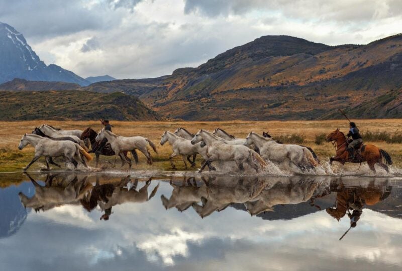 Chilean Gauchos and herd of horses running through a lake in Chile