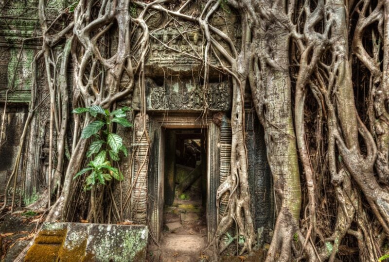 Travel Cambodia concept background - ancient stone door and tree roots, Ta Prohm temple ruins, Angkor, Cambodia