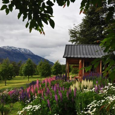 A wooden lodge surrounded by flowers at