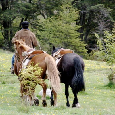 Horseback riding at Mallín Colorado, Chile