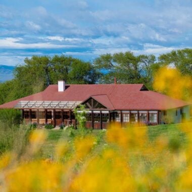 Estancia Cerro Guido with yellow flowers in the foreground