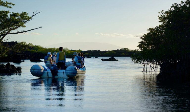 A panga ride to explore Elizabeth Bay in the Galapagos Islands