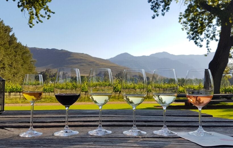 A row of wine glasses ready for a wine tasting in Stellenbosch, South Africa