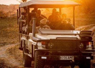 Game drive in a safari jeep at sunrise in the magical Okavango Delta in Botswana