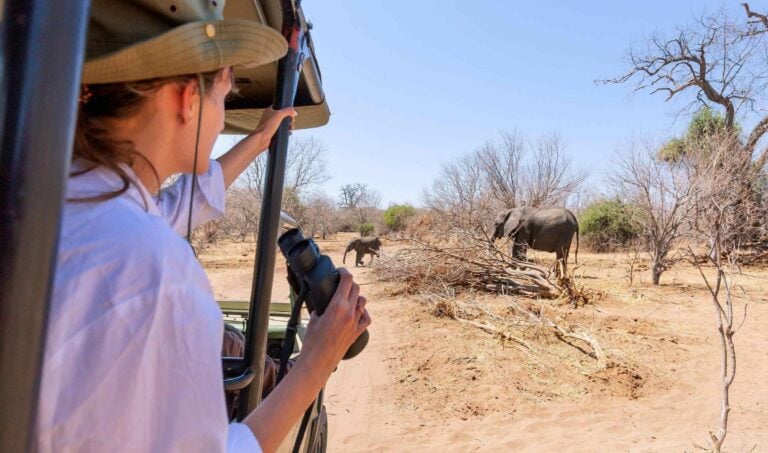 A woman with binoculars watching elephants from a safari vehicle