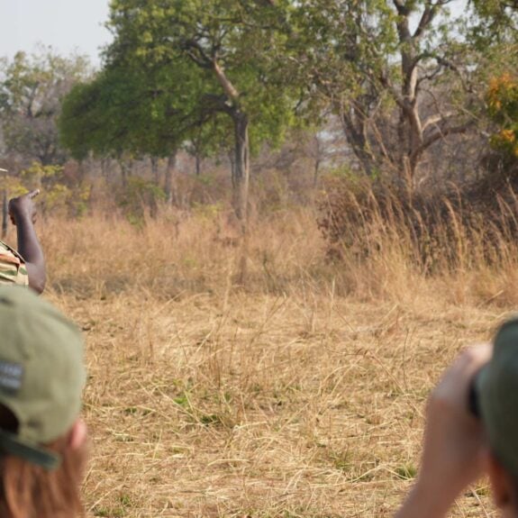 People with a guide on a walking safari in Zambia