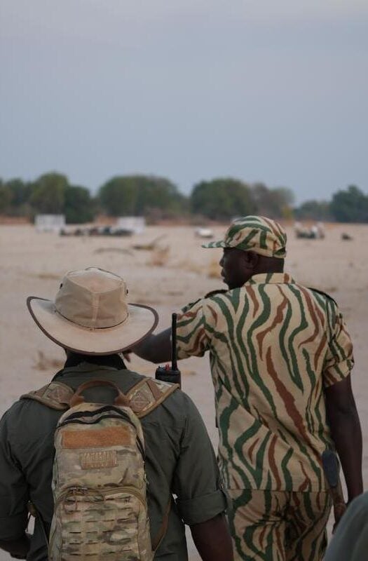 A walking safari in Zambia